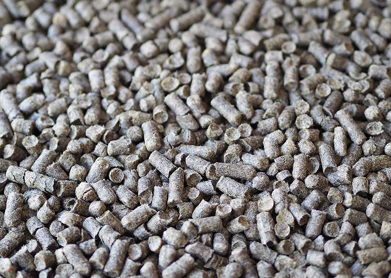 Organischer Dünger: Innovativ und nachhaltig

Schafwoll-Dünger-Pellets enthalten reine Schafschurwolle von Schweizer Schafen. Die Schafwolle wird getrocknet, zerkleinert und danach pelletiert. Die Wolle ist ein wertvoller organischer Langzeitdünger mit sehr wenig Phosphor. Die Schafwoll-Dünger-Pellets lockern den Boden und können bis zu das 3,5-fache des Eigengewichts an Wasser speichern. Die Nährstoffe werden langsam an die Pflanzen abgegeben und wirken bis 6 Monate nach. Die Schafwoll-Dünger-Pellets sind gemäss FiBL-Betriebsmittelliste für den biologischen Landbau zugelassen.

Nährstoffe: 
Die Pellets enthalten folgende Nährstoffe:
10,5 % Nges Gesamtstickstoff, 0,1 % P2O5 Phosphat, 3,5 % K2O Kali, 0,5 % Ca Calcium, 0,6 % Mg Magnesium und 2,2 % S Schwefel 

Mengen: 
Gemüse Starkzehrer bis 100 g/m²; 
Obstbäume, Stauden, Beeren und Ziersträucher ca. 50 g/m² 

Anwendung: 
Nach der Anwendung unverzüglich ins Erdreich einarbeiten. Die Pellets quellen auf, speichern das Wasser und geben die Nährstoffe langsam ab.

Vorteile: 
Wasserspeicher, weniger giessen; 
lockert den Boden und verbessert das Pflanzsubstrat; 
ohne Fremdzusätze oder Chemikalien;
alkalisch pH 8.5;
bis 6 Monate Langzeitwirkung;
Naturprodukt, nachhaltig und umweltschonend;
100 % aus Schweizer Schafschurwolle;
Schweizer Produktion  

1 kg:	CHF 7.50  (CHF 7.50/kg); 
3 kg:	CHF 14.50  (CHF 4.83/kg); 
25 kg: CHF 72.-  (CHF 2.88/kg); 
500 kg BigBag: CHF 1250.-  (CHF 2.50/kg)
